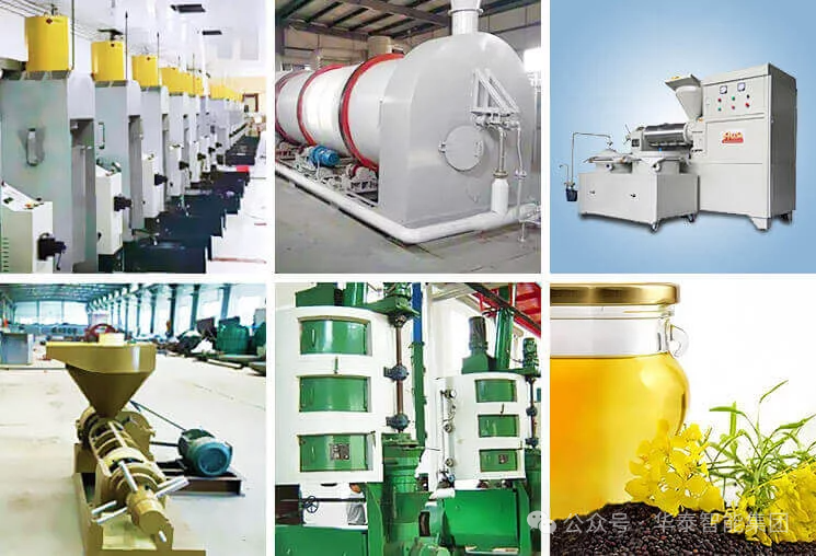 一站式菜籽油生產線方案｜河南華泰20-5000TPD交鑰匙工程，解鎖榨油高效新路徑