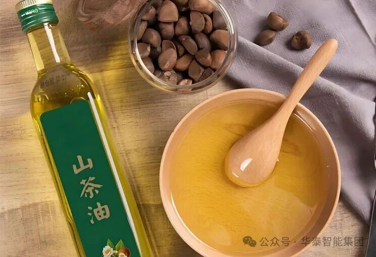 東方橄欖油，香飄萬家：華泰智能裝備集團茶籽油成套生產線解決方案